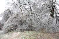 2007 Ice Storm